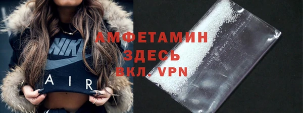 индика Алексин