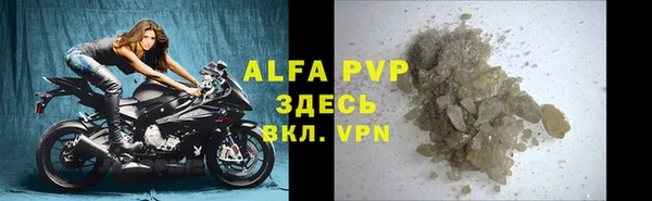 индика Алексин