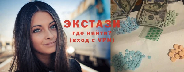 индика Арсеньев