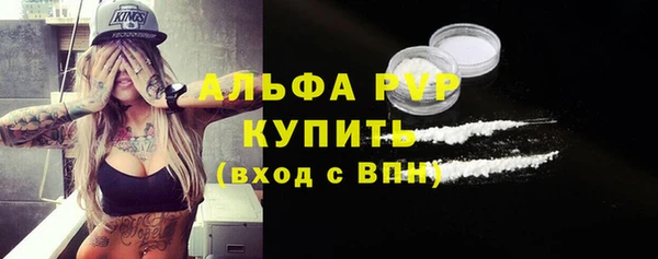 индика Арсеньев