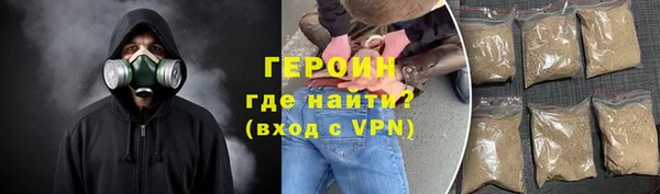 индика Арсеньев