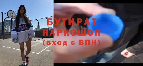 индика Алексин