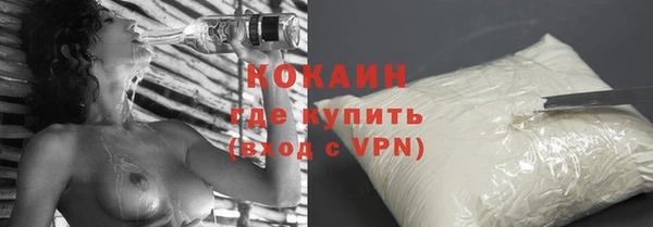 индика Арсеньев