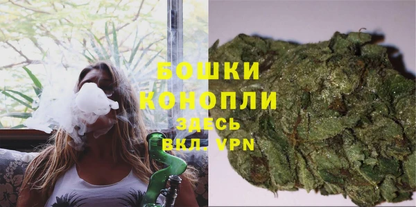 индика Арсеньев