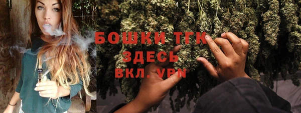 индика Арсеньев