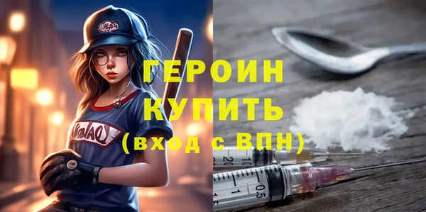 индика Арсеньев