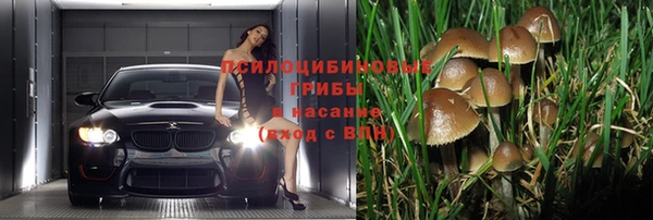 индика Арсеньев