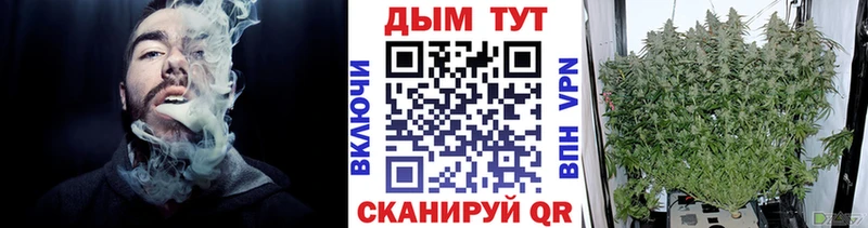 дарнет шоп  darknet наркотические препараты  МАРИХУАНА тримм  Сургут 